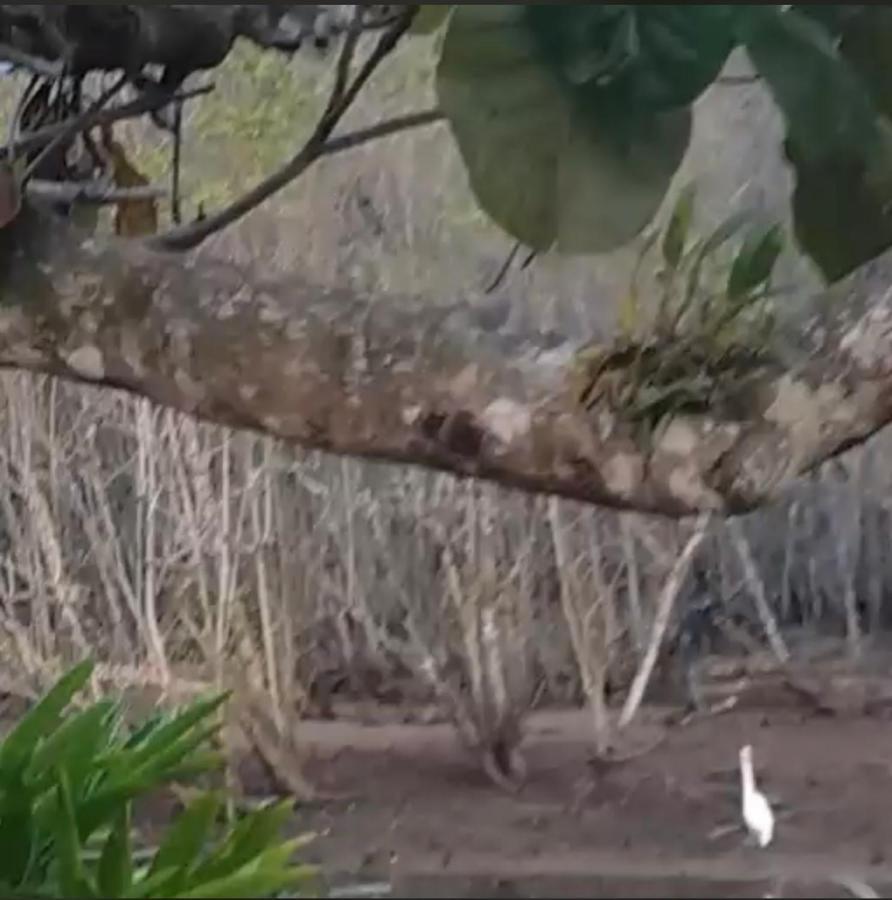 Apartamento Maranduba Ubatuba Bagian luar foto